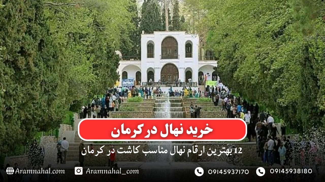 خرید نهال در کرمان - 12 بهترین نهال مناسب کاشت در کرمان