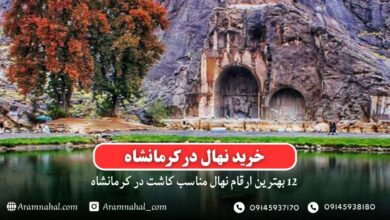 خرید نهال در کرمانشاه - 12 بهترین نهال مناسب کاشت در کرمانشاه