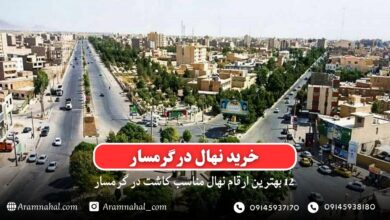 خرید نهال در گرمسار - 12 بهترین نهال مناسب کاشت در گرمسار