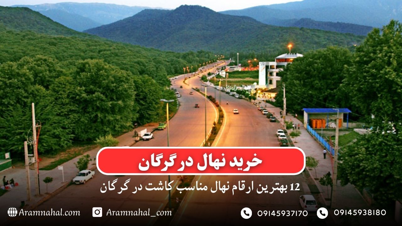 خرید نهال در گرگان - 12 بهترین نهال مناسب کاشت در گرگان