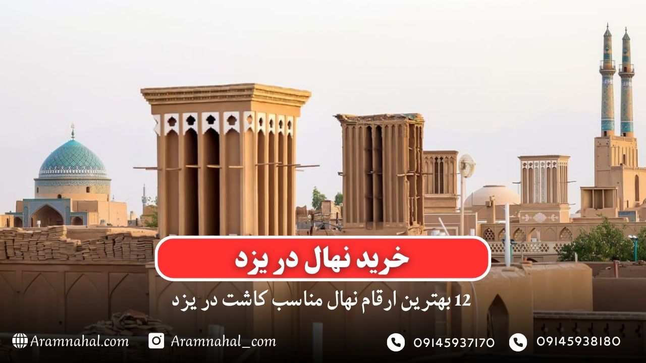 خرید نهال در یزد - 12 بهترین نهال مناسب کاشت در یزد