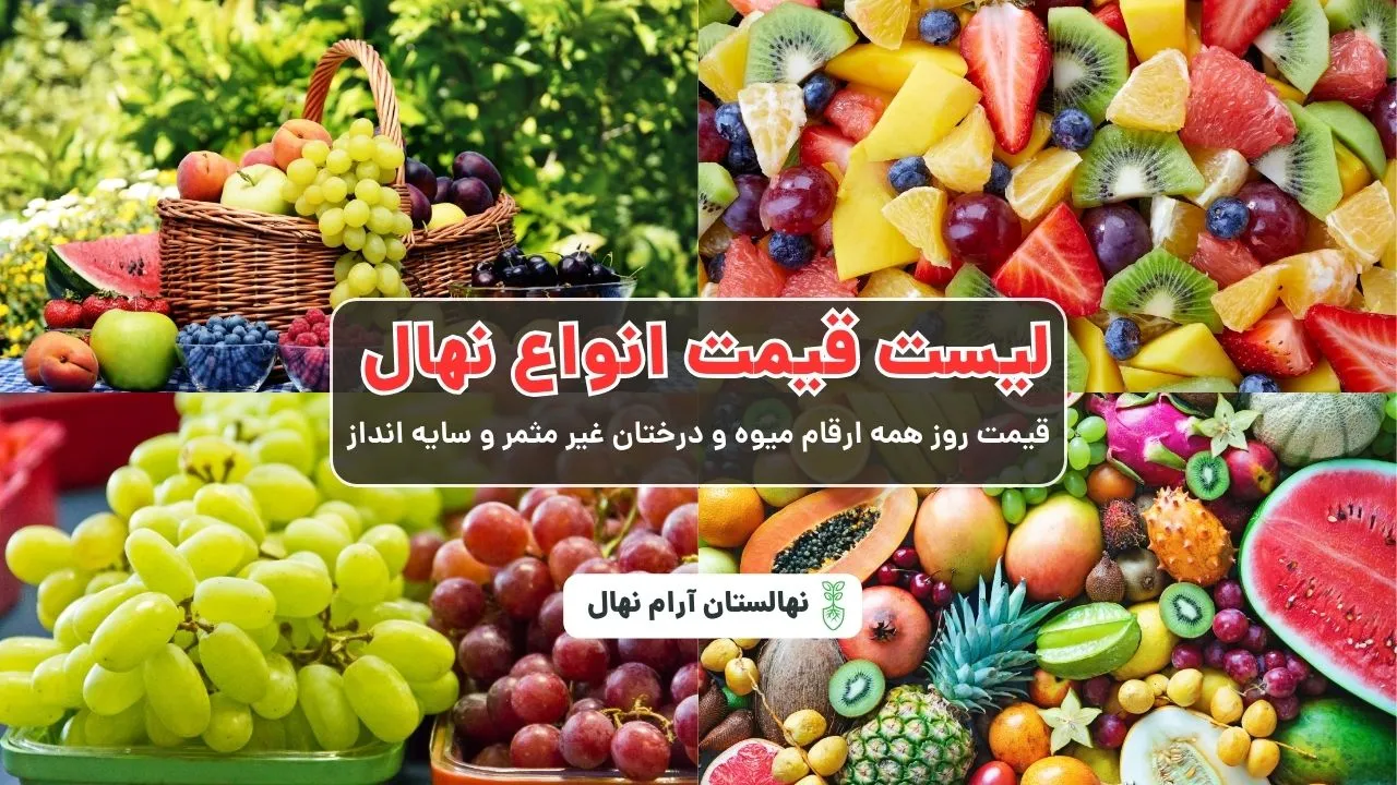 لیست قیمت نهال سال 1406