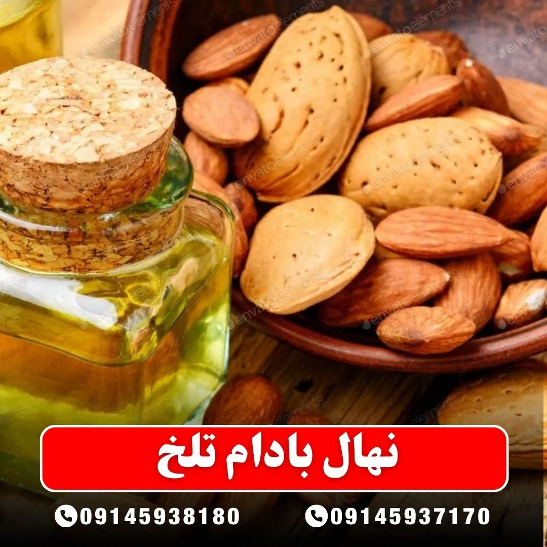 نهال بادام تلخ