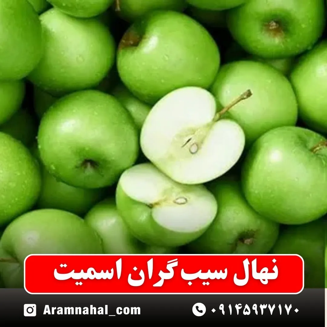نهال سیب گران اسمیت