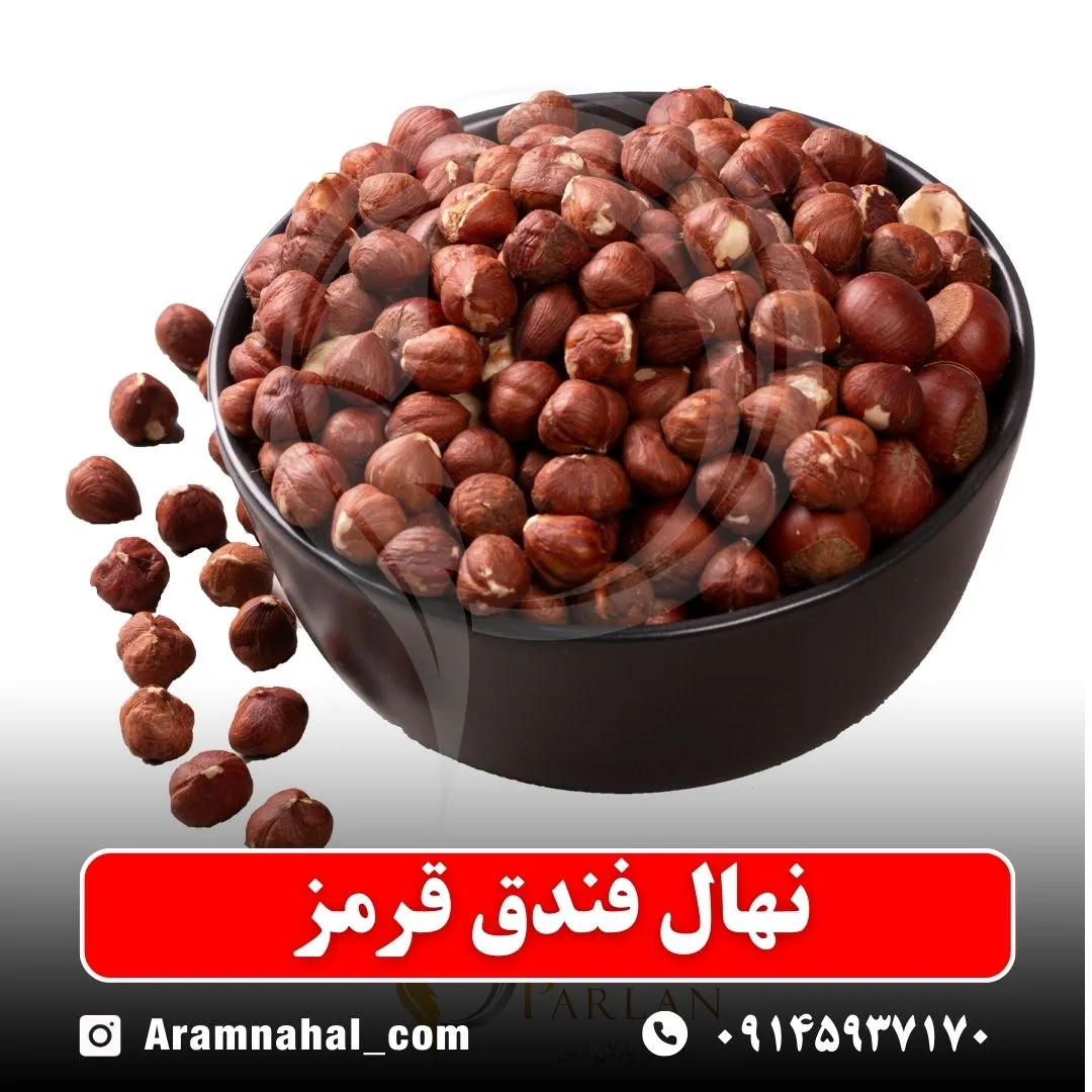 نهال فندق قرمز