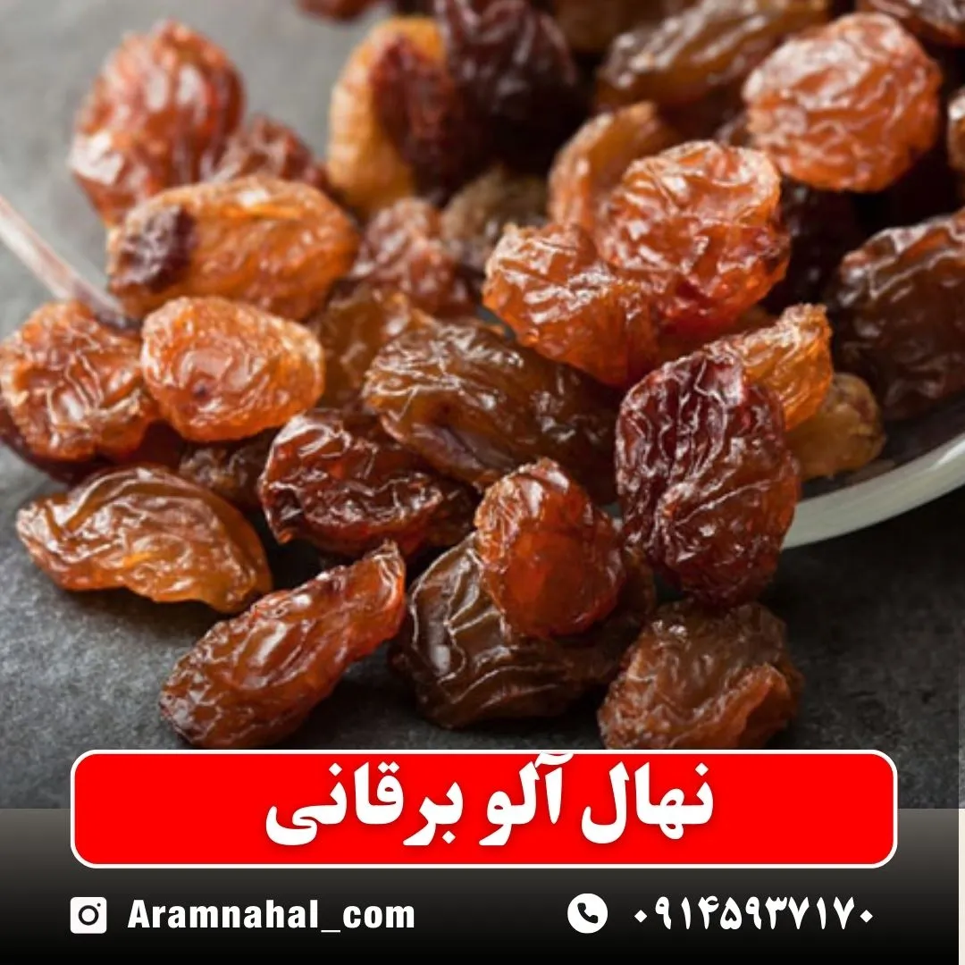 نهال آلو برقانی نهالستان آرام نهال